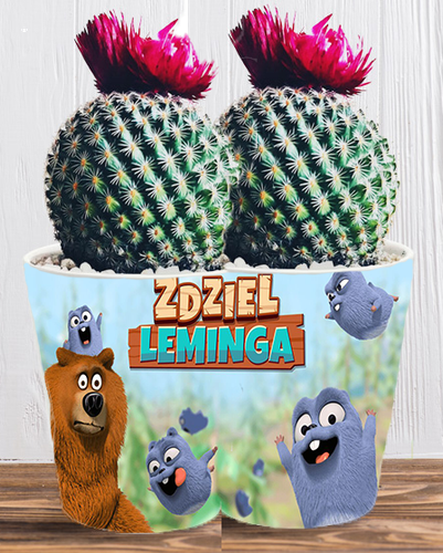 Doniczka do kwiatów/roślin - Grizzy i Lemingi na Arena.pl