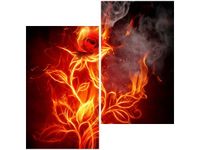 60X60CM OGNISTA RÓŻA DWU OBRAZ ŚCIAN