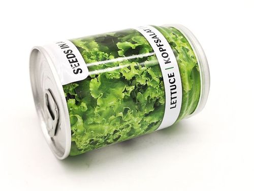 Sadzonka w puszce sałata na Arena.pl