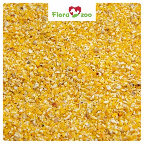 KUKURYDZA GNIECIONA PASZA KARMA DROBNA ZIARNO DLA DROBIU KUR KACZEK GOŁĘBI na Arena.pl