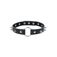 adjustable collar with spikes