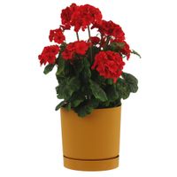 Doniczka z podstawką okrągła Ø23,9 cm matowa kolor żółty