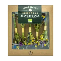 Herbatka Liofilizowana BIO w Patyku 12,5 g - Dary Natury