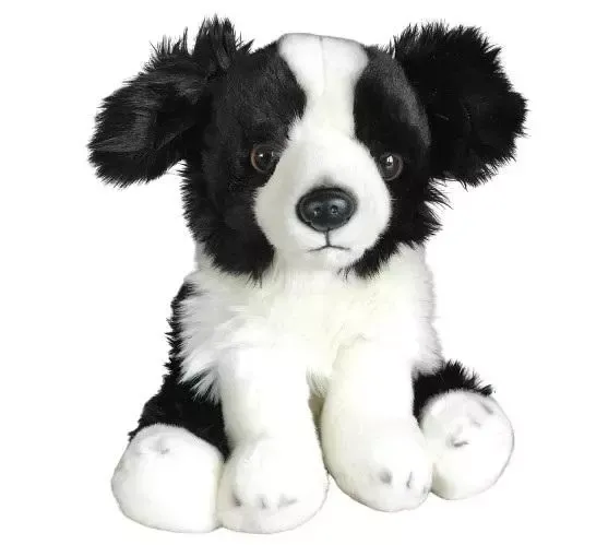 Border Collie 30cm zdjęcie 1