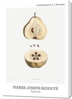 Obraz 70x100cm Design Pear Fruit, Redoute Vintage do Salonu