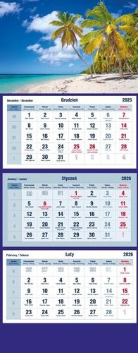 KALENDARZ TRÓJDZIELNY PALMY MICHALCZYK 2026 na Arena.pl