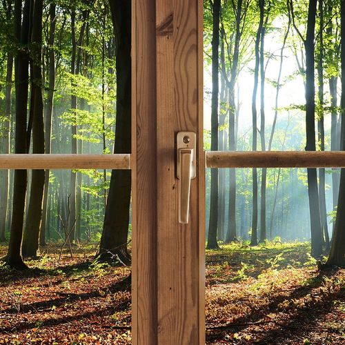 Obraz na płótnie - Canvas, okno - las 60x40 na Arena.pl