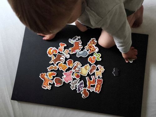 MAGNESY NA LODÓWKĘ DLA DZIECI ZESTAW EDUKACYJNY ZWIERZĘTA PREZENT 30 na Arena.pl