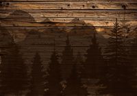 FOTOTAPETA FLIZ drewno deska tapeta drzewa 200x130