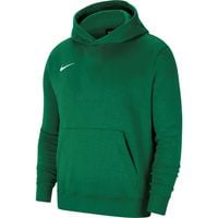 ND05_B15514-S CW6896 302 Bluza dla dzieci Nike Pa
