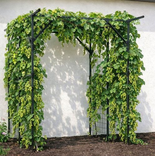 pergola prostokątna dach 150x200x197cm na Arena.pl