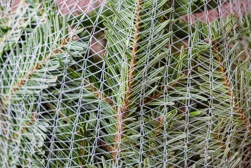 LZ45 Siatka do pakowania choinek 45cm x 300m MESHPACK ENVI na Arena.pl