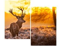 product-compare-58655404