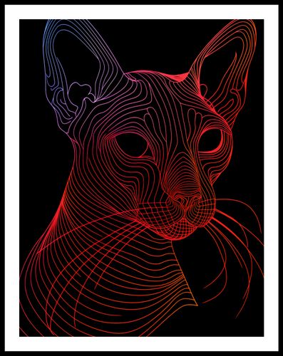 Plakat 50x65cm Cyfrowa Kocica na Arena.pl