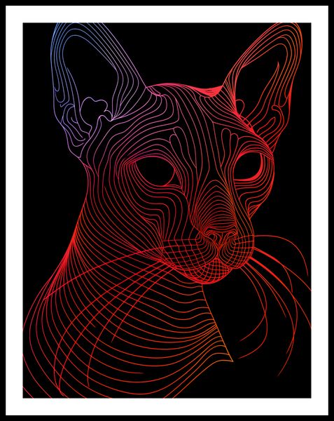 Plakat 50x65cm Cyfrowa Kocica zdjęcie 3