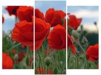 70 90CM OBRAZ 3 ELEM MAKI DUNCAN ŚCIENNY DRUK PŁÓTNO