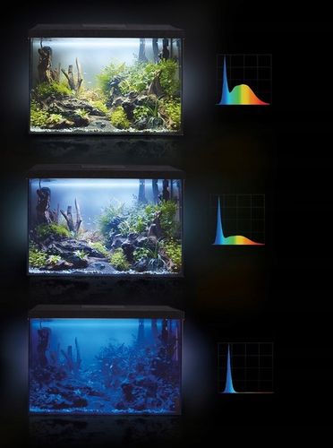 AKWARIUM 60x30x40 PROSTY 72L POKRYWA AQUAEL LEDDY DZIEŃ + NOC + WYPOSAŻENIE na Arena.pl