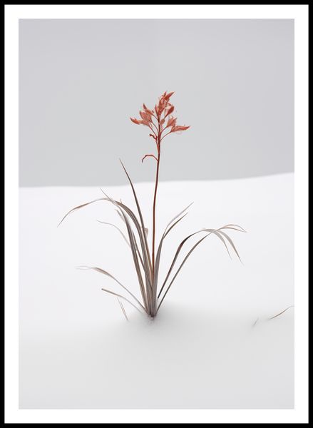 Plakat 59,4x84,1cm Subtelność Natury zdjęcie 3