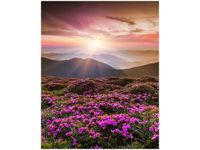 40X50CM PIĘKNY KRAJOBRAZ OBRAZ