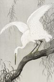 Plakat 20x30cm White Heron on Tree, Koson Japoński Vintage do Salonu