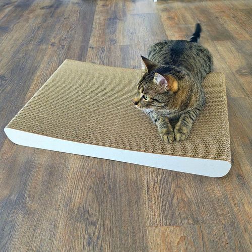 Drapak dla kota SIGMA | biały 40cm | 58x6.6x40 cm | MruuPruu na Arena.pl