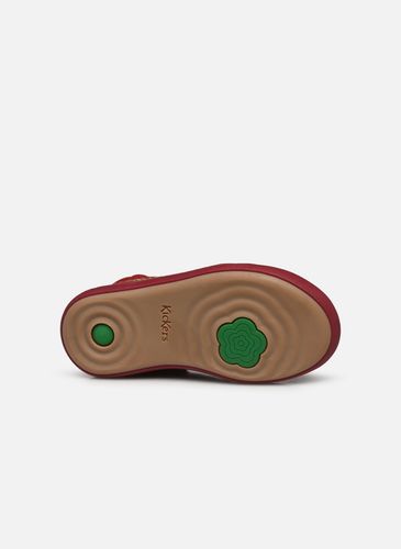 Buty Kickers KICKPINNS 912121-30 R36 na Arena.pl