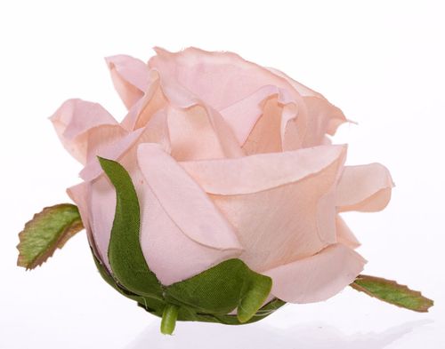 Róża wyrobowa cappucino 8cm na Arena.pl