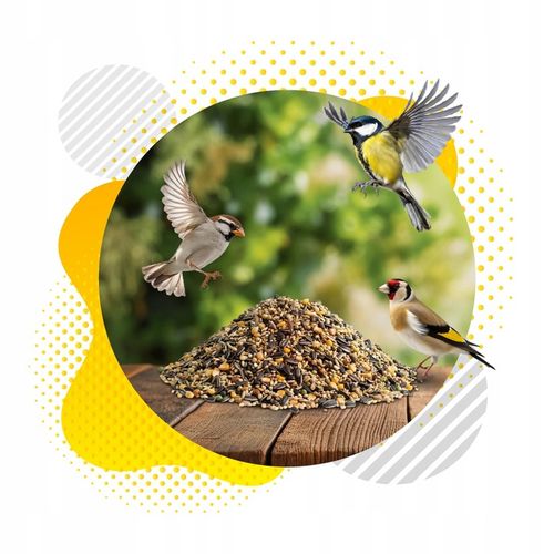 KARMA DLA PTAKÓW 10kg ZE SŁONECZNIK DROBNE ZIARNO DO KARMNIK + PLAKAT na Arena.pl