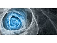 OBRAZ BLUE ROSE