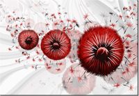 product-compare-58712998