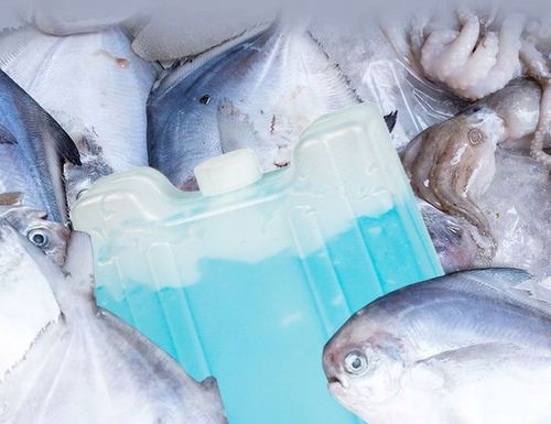 10x DUŻY WKŁAD MROŻĄCY CHŁODZĄCY ŻELOWY DO LODÓWKI TURYSTYCZNEJ 400ml 400G na Arena.pl