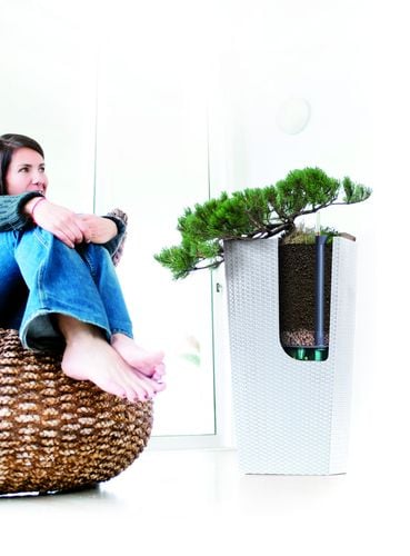 Doniczka RATO wysoka DRTS240 z wkładem | Umbra na Arena.pl