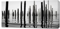 Obraz 100x50cm Refleksje Nad Wodą