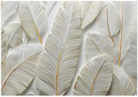 Fototapeta Na Flizelinie Do Sypialni Salonu Pióra 250x175