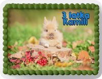 PROSTOKĄTNY OPŁATEK NA TORT A4 20x29CM - KRÓLIK KRÓLICZEK + IMIĘ
