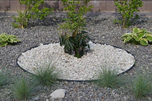 OBRZEŻE TRAWNIKOWE OGRODOWE 5,8cm PALISADA EKO BORDER 58mm 20m + 100 KOTEW na Arena.pl