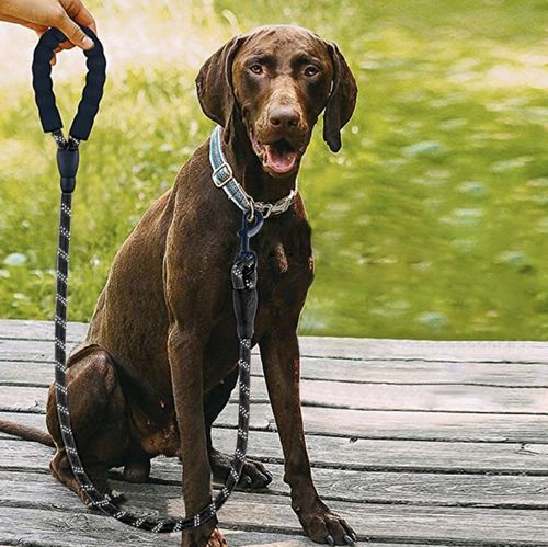 Smycz dla Dużego Psa Mocna Treningowa Linka Gruba Długa 5m + Worki na Kupy na Arena.pl