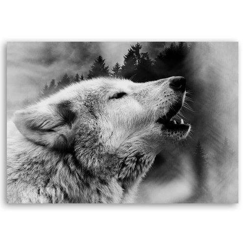 Deco Panel, Wilk we mgle 60x40 na Arena.pl