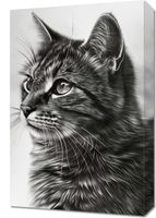 Obraz 40x60cm Kocie Wpatrzenie