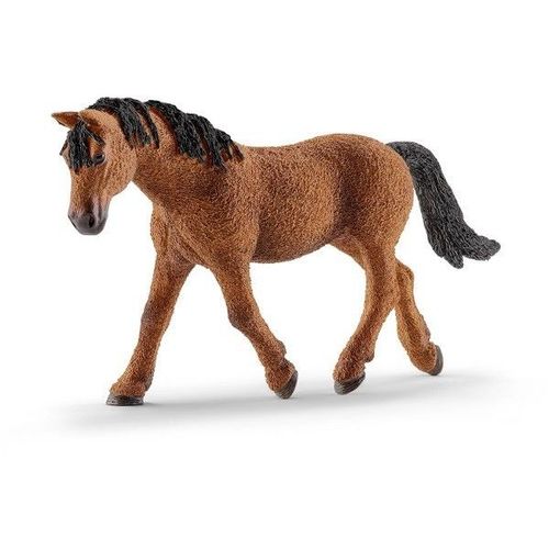 SCHLEICH Bashkir Curly klacz 13780 na Arena.pl