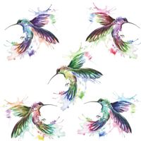 Naklejki Na Ścianę Ptaki Koliber Szafę Meble Szybę Lustro Dla Dzieci Pokój