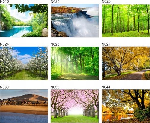 Fototapeta 3D widok kwiaty góry we mgle 200x130 FL na Arena.pl