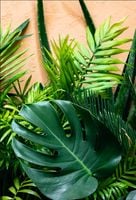 MATA magnetyczna magnes na zmywarkę 70x50 cm liście