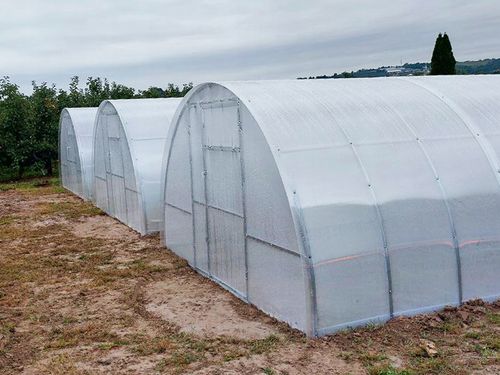 SZKLARNIA z POLIWĘGLANU 3,5x10m OCYNK TUNEL 40x20mm na Arena.pl