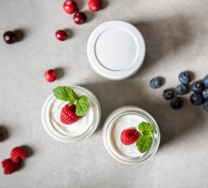 Jogurtownica AUTOMAT do jogurtu 1L First Austria zdjęcie 3