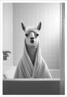 PLAKAT BEZ RAMY do Łazienki WC Toalety śmieszny LAMA wanna P2526_50x70