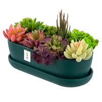 Donica Kaktusiarka ceramika Butelkowa zieleń Mat 27,5cm sukulenty Owal