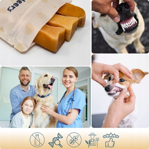 NATURALNY GRYZAK DLA PSA Z SERA HIMALAJSKIEGO SEREK M PRZEKĄSKA na Arena.pl