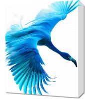 product-compare-59491469