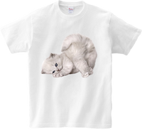 Koszulka T-shirt Kot